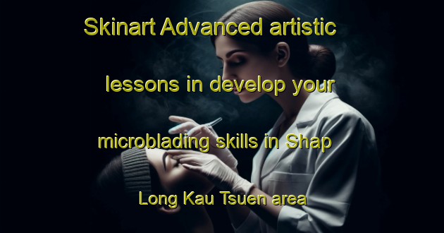 Skinart Advanced artistic lessons in develop your microblading skills in Shap Long Kau Tsuen area | MicrobladingTraining | MicrobladingClasses | SkinartTraining-Hong Kong