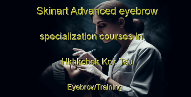 Skinart Advanced eyebrow specialization courses in Hkhkchek Kok Tau | EyebrowTraining | EyebrowClasses | SkinartTraining-Hong Kong