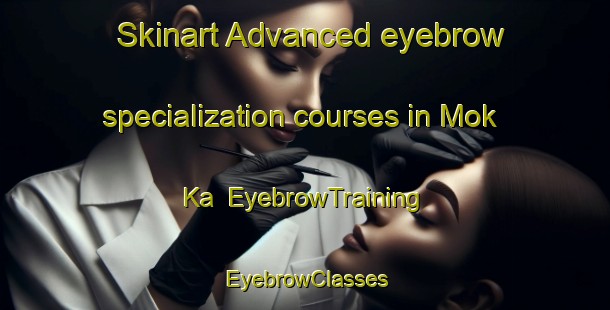 Skinart Advanced eyebrow specialization courses in Mok Ka | EyebrowTraining | EyebrowClasses | SkinartTraining-Hong Kong
