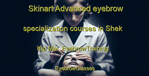 Skinart Advanced eyebrow specialization courses in Shek Kip Mei | EyebrowTraining | EyebrowClasses | SkinartTraining-Hong Kong