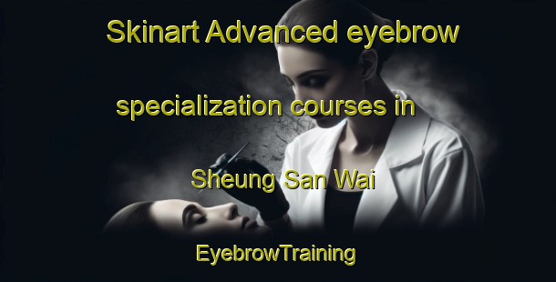 Skinart Advanced eyebrow specialization courses in Sheung San Wai | EyebrowTraining | EyebrowClasses | SkinartTraining-Hong Kong