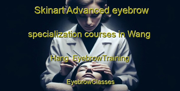 Skinart Advanced eyebrow specialization courses in Wang Hang | EyebrowTraining | EyebrowClasses | SkinartTraining-Hong Kong