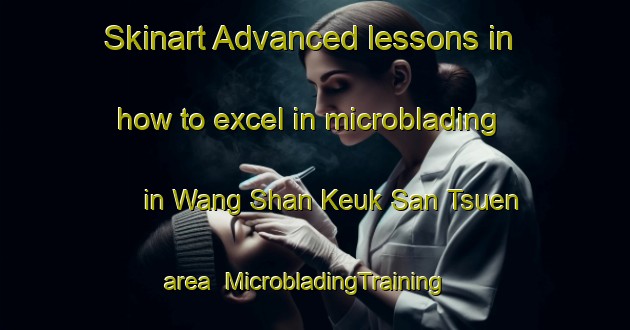 Skinart Advanced lessons in how to excel in microblading in Wang Shan Keuk San Tsuen area | MicrobladingTraining | MicrobladingClasses | SkinartTraining-Hong Kong