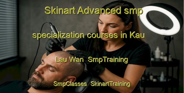 Skinart Advanced smp specialization courses in Kau Lau Wan | SmpTraining | SmpClasses | SkinartTraining-Hong Kong