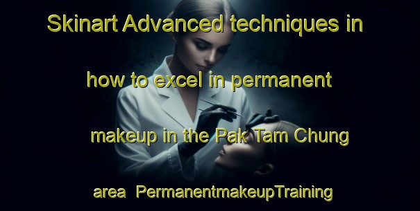 Skinart Advanced techniques in how to excel in permanent makeup in the Pak Tam Chung area | PermanentmakeupTraining | PermanentmakeupClasses | SkinartTraining-Hong Kong