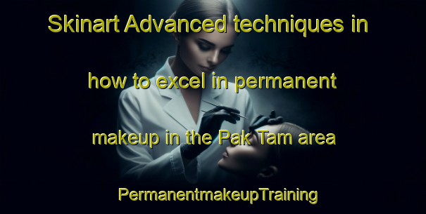 Skinart Advanced techniques in how to excel in permanent makeup in the Pak Tam area | PermanentmakeupTraining | PermanentmakeupClasses | SkinartTraining-Hong Kong