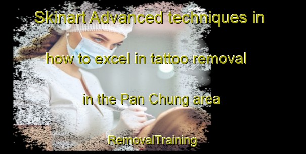 Skinart Advanced techniques in how to excel in tattoo removal in the Pan Chung area | RemovalTraining | RemovalClasses | SkinartTraining-Hong Kong