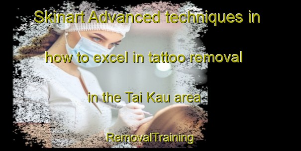 Skinart Advanced techniques in how to excel in tattoo removal in the Tai Kau area | RemovalTraining | RemovalClasses | SkinartTraining-Hong Kong