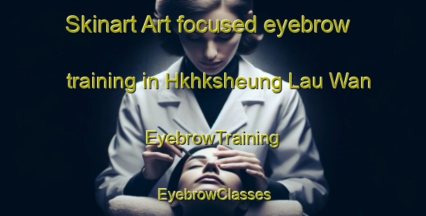 Skinart Art-focused eyebrow training in Hkhksheung Lau Wan | EyebrowTraining | EyebrowClasses | SkinartTraining-Hong Kong
