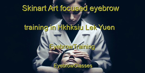 Skinart Art-focused eyebrow training in Hkhksiu Lek Yuen | EyebrowTraining | EyebrowClasses | SkinartTraining-Hong Kong