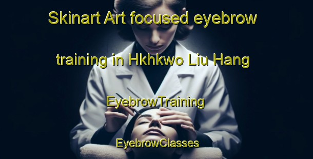 Skinart Art-focused eyebrow training in Hkhkwo Liu Hang | EyebrowTraining | EyebrowClasses | SkinartTraining-Hong Kong