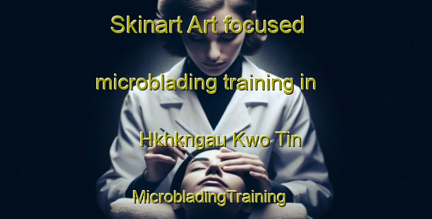 Skinart Art-focused microblading training in Hkhkngau Kwo Tin | MicrobladingTraining | MicrobladingClasses | SkinartTraining-Hong Kong