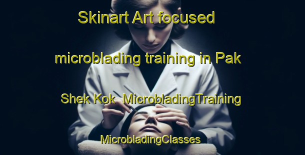 Skinart Art-focused microblading training in Pak Shek Kok | MicrobladingTraining | MicrobladingClasses | SkinartTraining-Hong Kong