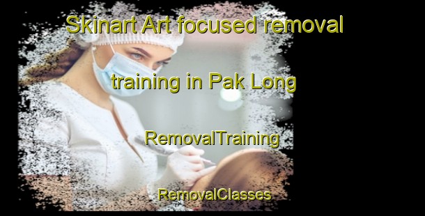 Skinart Art-focused removal training in Pak Long | RemovalTraining | RemovalClasses | SkinartTraining-Hong Kong