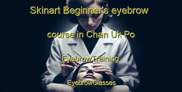 Skinart Beginner's eyebrow course in Chan Uk Po | EyebrowTraining | EyebrowClasses | SkinartTraining-Hong Kong