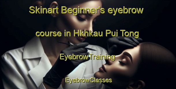 Skinart Beginner's eyebrow course in Hkhkau Pui Tong | EyebrowTraining | EyebrowClasses | SkinartTraining-Hong Kong