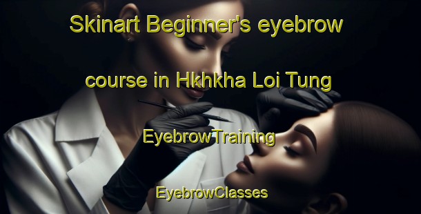 Skinart Beginner's eyebrow course in Hkhkha Loi Tung | EyebrowTraining | EyebrowClasses | SkinartTraining-Hong Kong