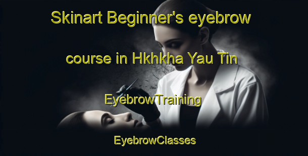 Skinart Beginner's eyebrow course in Hkhkha Yau Tin | EyebrowTraining | EyebrowClasses | SkinartTraining-Hong Kong
