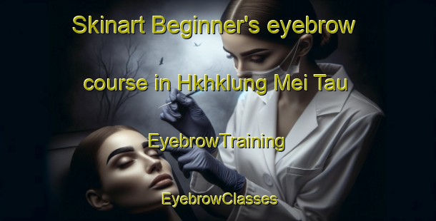 Skinart Beginner's eyebrow course in Hkhklung Mei Tau | EyebrowTraining | EyebrowClasses | SkinartTraining-Hong Kong