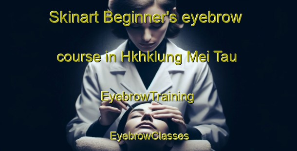 Skinart Beginner's eyebrow course in Hkhklung Mei Tau | EyebrowTraining | EyebrowClasses | SkinartTraining-Hong Kong