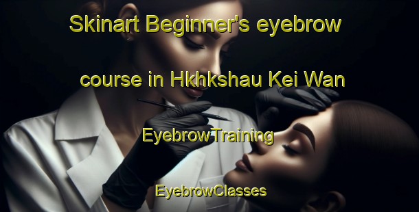 Skinart Beginner's eyebrow course in Hkhkshau Kei Wan | EyebrowTraining | EyebrowClasses | SkinartTraining-Hong Kong