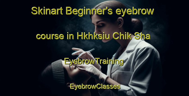 Skinart Beginner's eyebrow course in Hkhksiu Chik Sha | EyebrowTraining | EyebrowClasses | SkinartTraining-Hong Kong