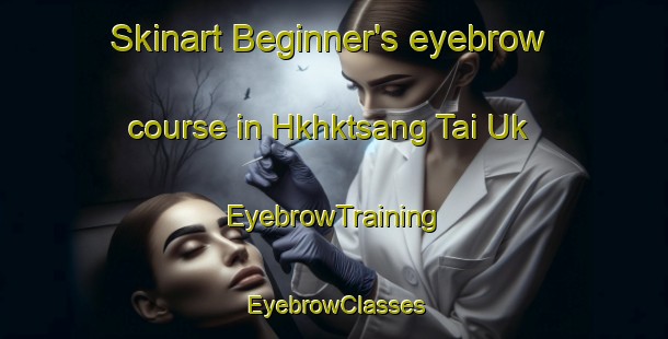 Skinart Beginner's eyebrow course in Hkhktsang Tai Uk | EyebrowTraining | EyebrowClasses | SkinartTraining-Hong Kong