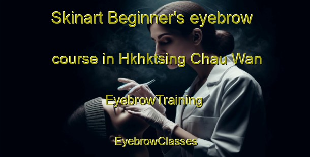 Skinart Beginner's eyebrow course in Hkhktsing Chau Wan | EyebrowTraining | EyebrowClasses | SkinartTraining-Hong Kong