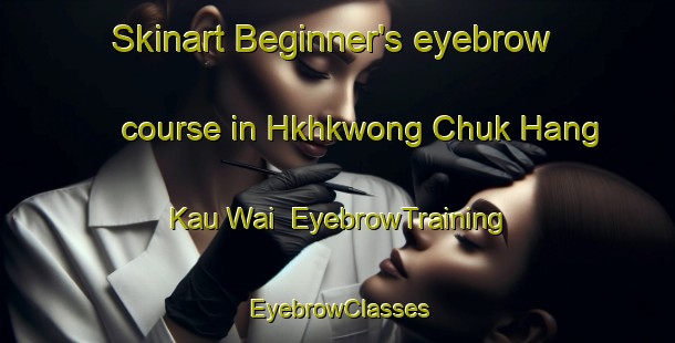 Skinart Beginner's eyebrow course in Hkhkwong Chuk Hang Kau Wai | EyebrowTraining | EyebrowClasses | SkinartTraining-Hong Kong