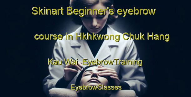 Skinart Beginner's eyebrow course in Hkhkwong Chuk Hang Kau Wai | EyebrowTraining | EyebrowClasses | SkinartTraining-Hong Kong