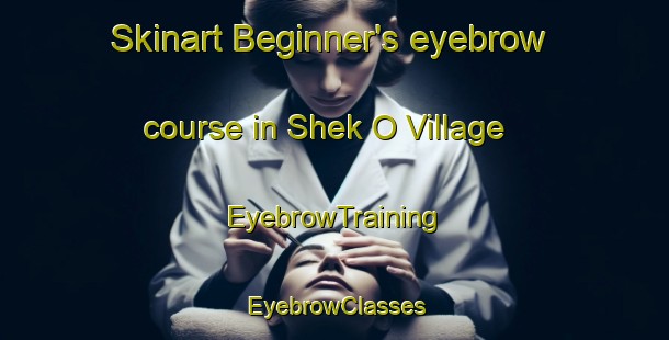 Skinart Beginner's eyebrow course in Shek O Village | EyebrowTraining | EyebrowClasses | SkinartTraining-Hong Kong