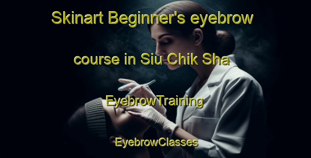 Skinart Beginner's eyebrow course in Siu Chik Sha | EyebrowTraining | EyebrowClasses | SkinartTraining-Hong Kong
