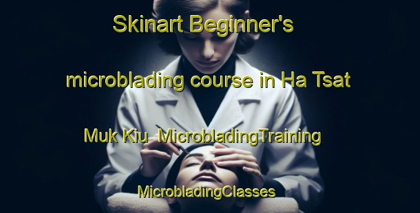 Skinart Beginner's microblading course in Ha Tsat Muk Kiu | MicrobladingTraining | MicrobladingClasses | SkinartTraining-Hong Kong