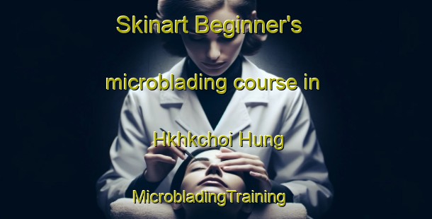 Skinart Beginner's microblading course in Hkhkchoi Hung | MicrobladingTraining | MicrobladingClasses | SkinartTraining-Hong Kong