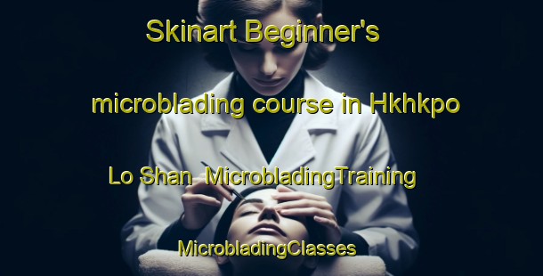 Skinart Beginner's microblading course in Hkhkpo Lo Shan | MicrobladingTraining | MicrobladingClasses | SkinartTraining-Hong Kong