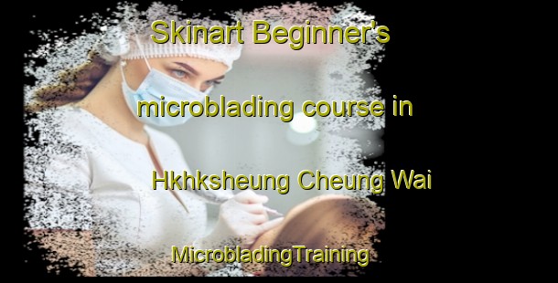 Skinart Beginner's microblading course in Hkhksheung Cheung Wai | MicrobladingTraining | MicrobladingClasses | SkinartTraining-Hong Kong