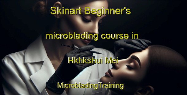 Skinart Beginner's microblading course in Hkhkshui Mei | MicrobladingTraining | MicrobladingClasses | SkinartTraining-Hong Kong