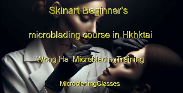 Skinart Beginner's microblading course in Hkhktai Wong Ha | MicrobladingTraining | MicrobladingClasses | SkinartTraining-Hong Kong