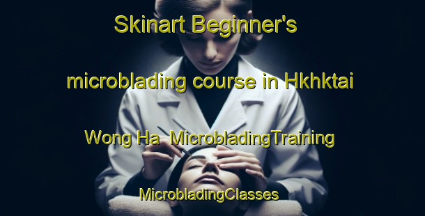 Skinart Beginner's microblading course in Hkhktai Wong Ha | MicrobladingTraining | MicrobladingClasses | SkinartTraining-Hong Kong