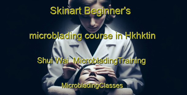 Skinart Beginner's microblading course in Hkhktin Shui Wai | MicrobladingTraining | MicrobladingClasses | SkinartTraining-Hong Kong