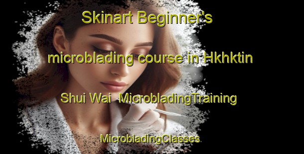 Skinart Beginner's microblading course in Hkhktin Shui Wai | MicrobladingTraining | MicrobladingClasses | SkinartTraining-Hong Kong