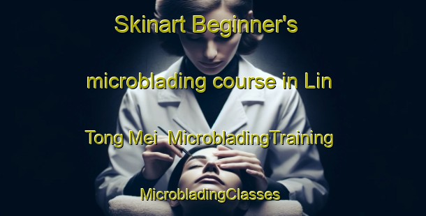 Skinart Beginner's microblading course in Lin Tong Mei | MicrobladingTraining | MicrobladingClasses | SkinartTraining-Hong Kong