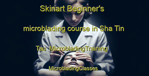 Skinart Beginner's microblading course in Sha Tin Tau | MicrobladingTraining | MicrobladingClasses | SkinartTraining-Hong Kong