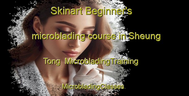 Skinart Beginner's microblading course in Sheung Tong | MicrobladingTraining | MicrobladingClasses | SkinartTraining-Hong Kong