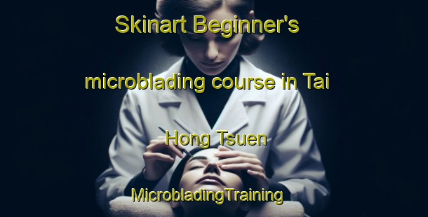 Skinart Beginner's microblading course in Tai Hong Tsuen | MicrobladingTraining | MicrobladingClasses | SkinartTraining-Hong Kong