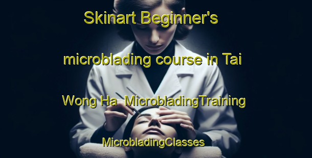 Skinart Beginner's microblading course in Tai Wong Ha | MicrobladingTraining | MicrobladingClasses | SkinartTraining-Hong Kong