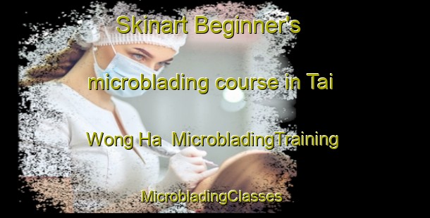 Skinart Beginner's microblading course in Tai Wong Ha | MicrobladingTraining | MicrobladingClasses | SkinartTraining-Hong Kong