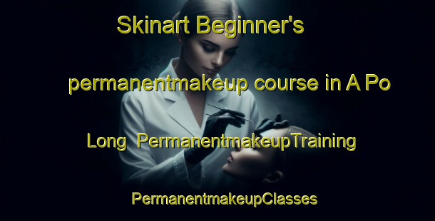Skinart Beginner's permanentmakeup course in A Po Long | PermanentmakeupTraining | PermanentmakeupClasses | SkinartTraining-Hong Kong