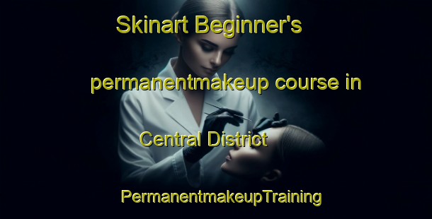 Skinart Beginner's permanentmakeup course in Central District | PermanentmakeupTraining | PermanentmakeupClasses | SkinartTraining-Hong Kong