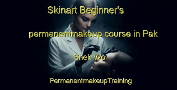Skinart Beginner's permanentmakeup course in Pak Shek Wo | PermanentmakeupTraining | PermanentmakeupClasses | SkinartTraining-Hong Kong